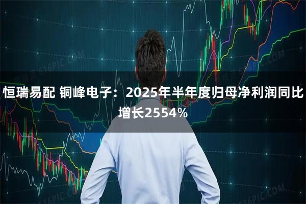 恒瑞易配 铜峰电子：2025年半年度归母净利润同比增长2554%